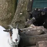 Comme Un Reve Frühstückspension