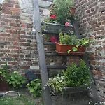 Frühstückspension Comme Un Reve 3*