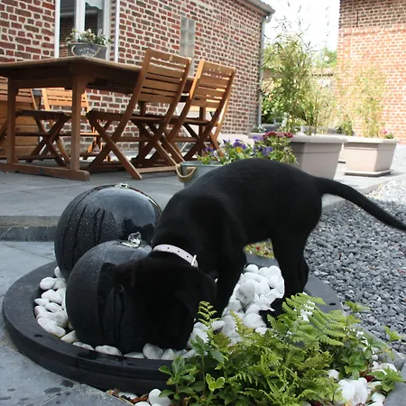 Panzió Comme Un Reve 3*