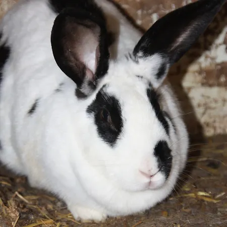 Comme Un Reve Doignies