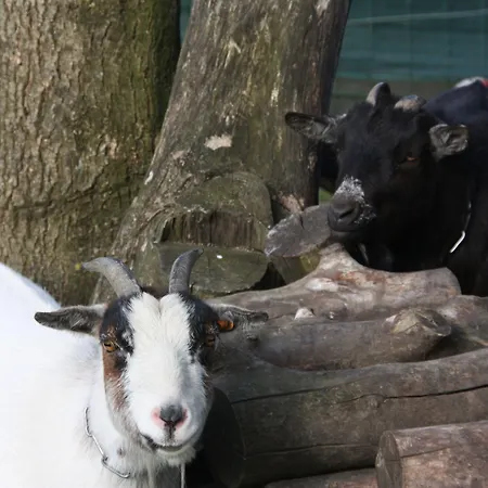 Comme Un Reve Panzió