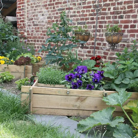 Comme Un Reve 住宿加早餐酒店