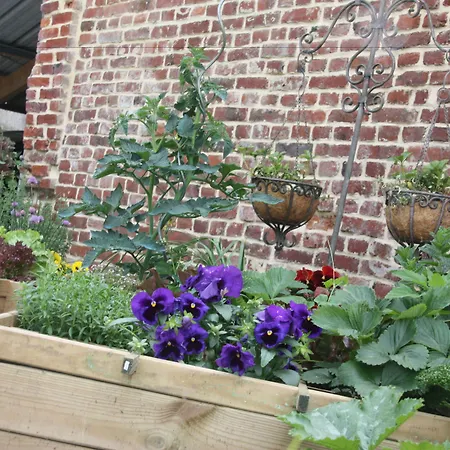 住宿加早餐酒店 Comme Un Reve 3*