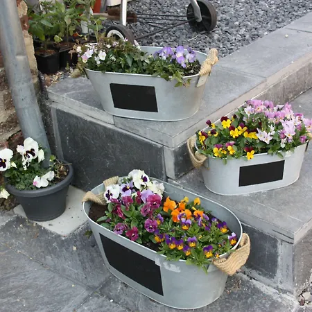 Panzió Comme Un Reve Doignies