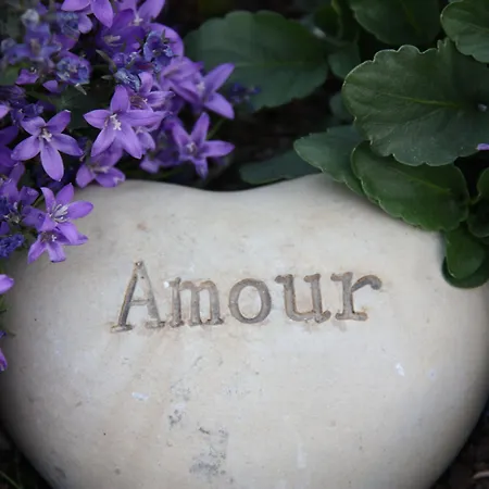 Comme Un Reve