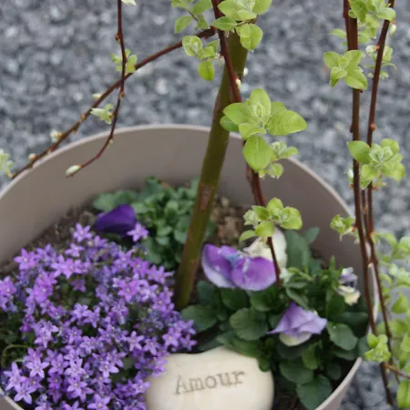 Panzió Comme Un Reve Doignies