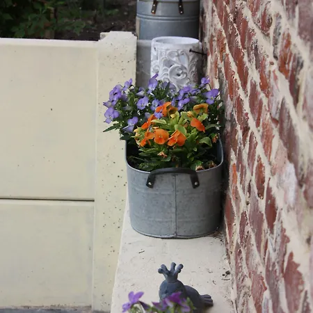 Panzió Comme Un Reve