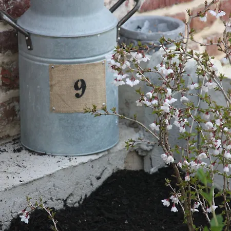 Comme Un Reve 3* Doignies