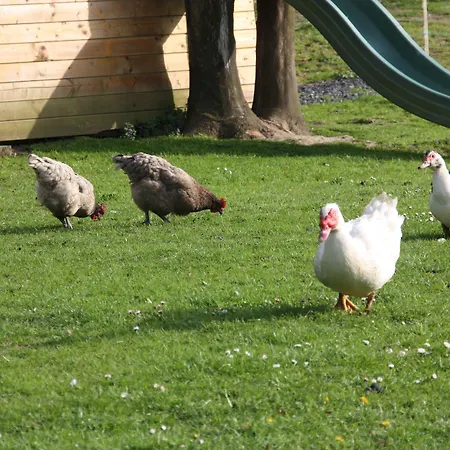 Comme Un Reve Panzió 3*