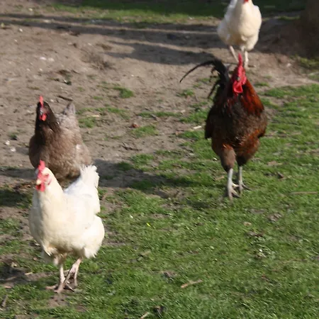 Comme Un Reve Panzió