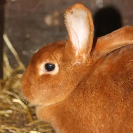 Comme Un Reve Doignies