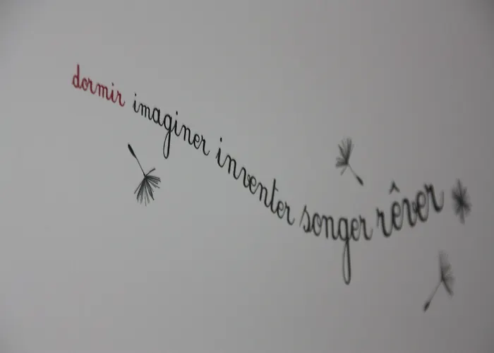 住宿加早餐酒店 Comme Un Reve Doignies