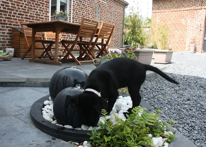 住宿加早餐酒店 Comme Un Reve 3*