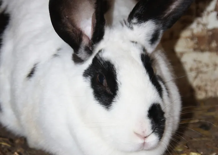 Comme Un Reve Doignies