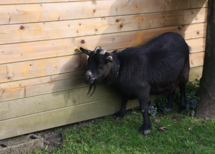 住宿加早餐酒店 Comme Un Reve 3*