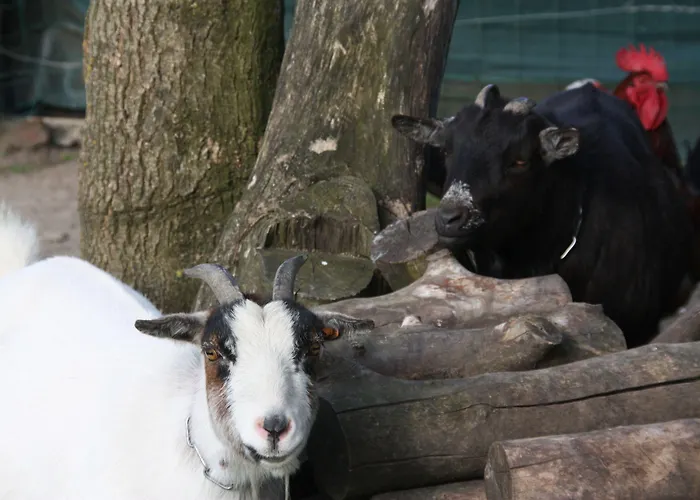 Comme Un Reve 住宿加早餐酒店