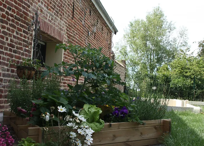 Comme Un Reve 3* Doignies