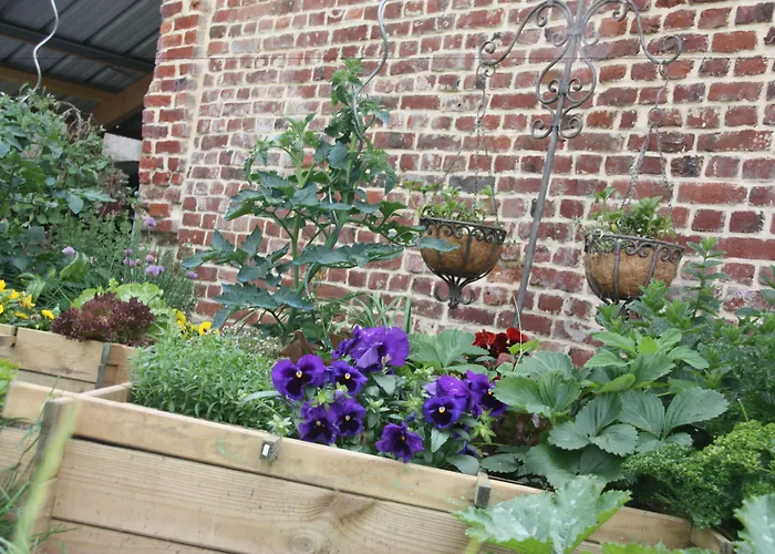 住宿加早餐酒店 Comme Un Reve 3*