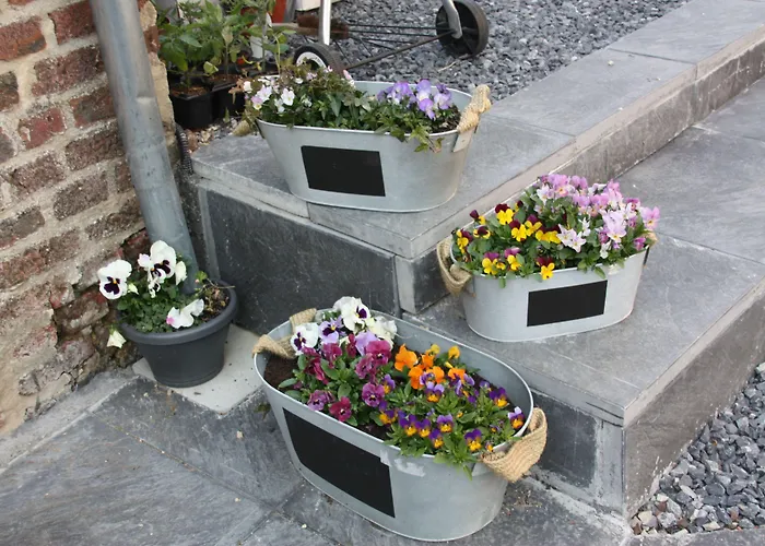 住宿加早餐酒店 Comme Un Reve Doignies