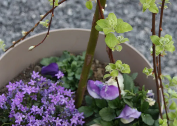 住宿加早餐酒店 Comme Un Reve Doignies