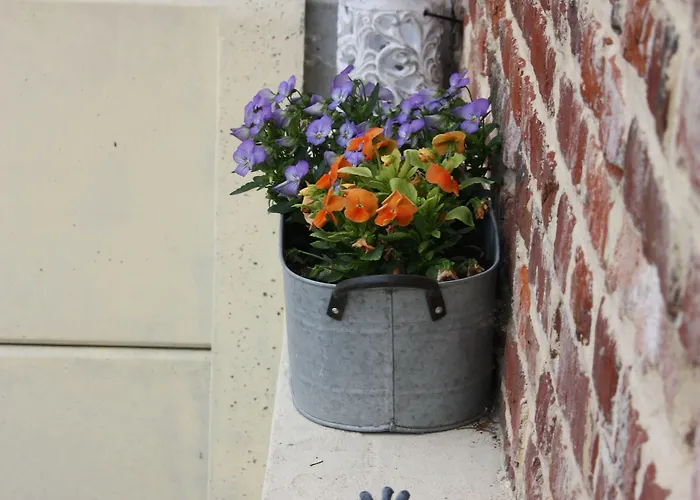 住宿加早餐酒店 Comme Un Reve