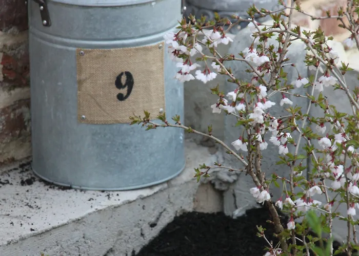 Comme Un Reve 3* Doignies