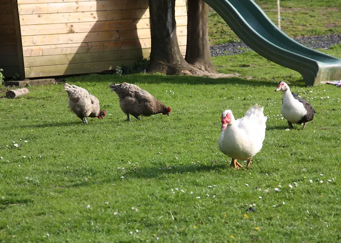 Comme Un Reve 住宿加早餐酒店 3*